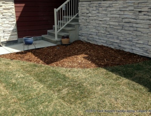 Garden Mulching Tips