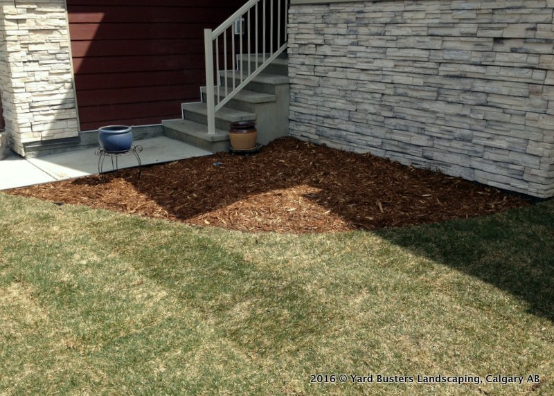 Smart-scaping, a solution for the side of the house