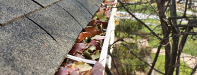 Clean Gutters Leaf Debris Yard Busters Calgary