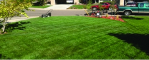 Lawn Care Cross Cutting