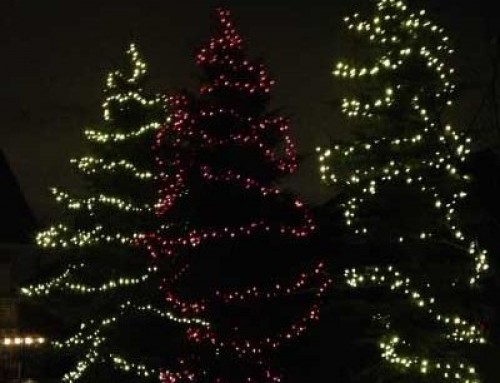 What kind of Christmas Lighting is used for Trees in Calgary?