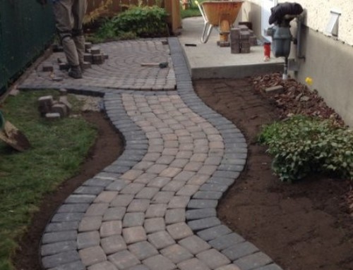 Before and After: Interlock curving pathway