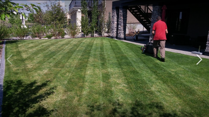 Calgary Lawn Mowing Service