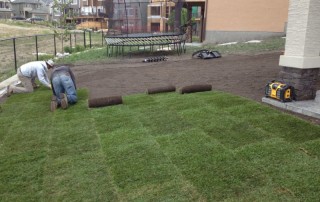 Calgary Sod Installation 1