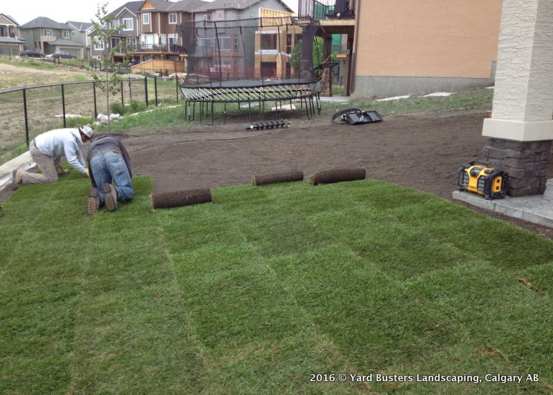 Calgary Sod Installation 1