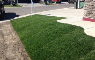 Calgary Sod Installation 4 by Yard Busters Landscaping