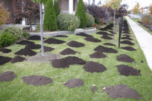 Calgary Top Dressing Service 1