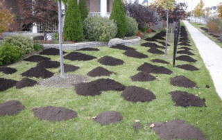 Calgary Top Dressing Service 1