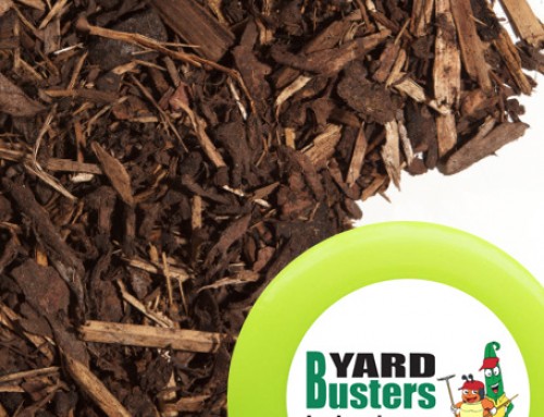 Types of Wood Mulch